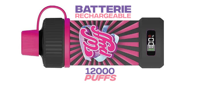 caractéristiques de la batterie wpuff pod 12000